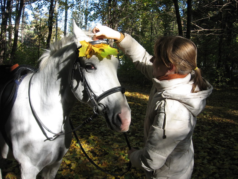 IMG_1188.jpg1.jpg"%20height="600"%20width="800